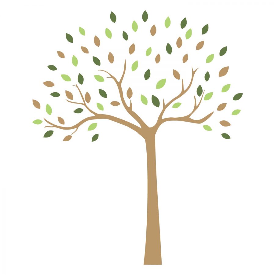 Woodland tree wall sticker | | Stickerscape