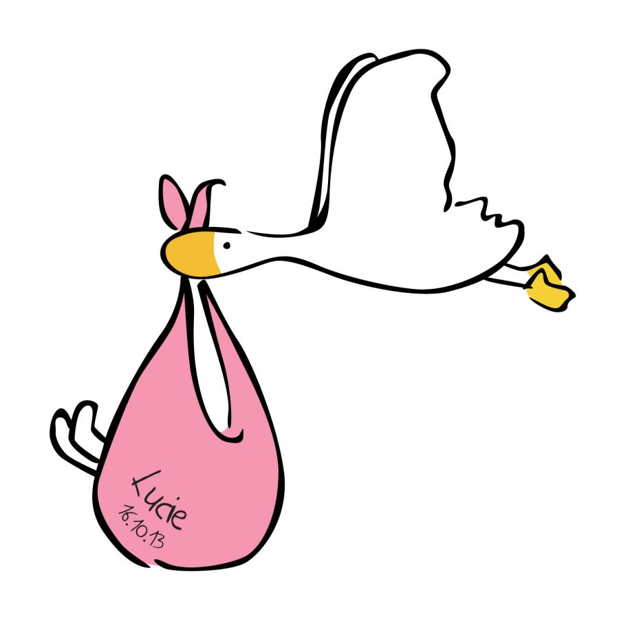 Special Delivery by Goose