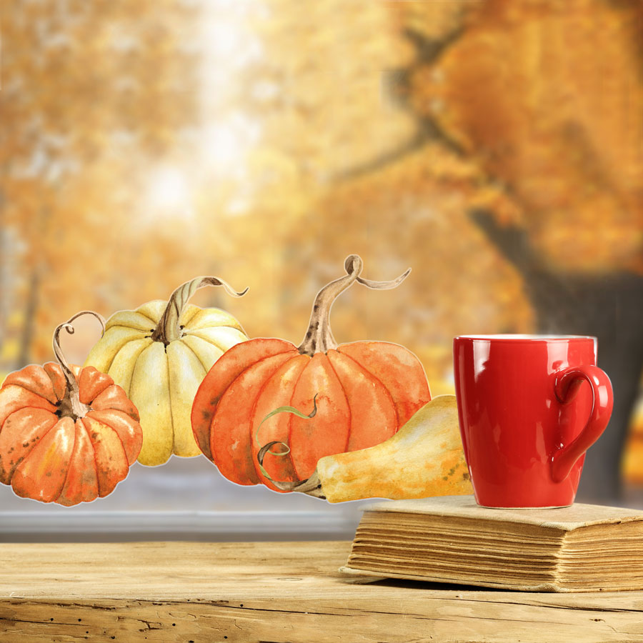 Autumnal pumpkin window stickers (Regular size) features a selection of pumpkins and is perfect for creating an Autumnal Halloween theme for your windows this October