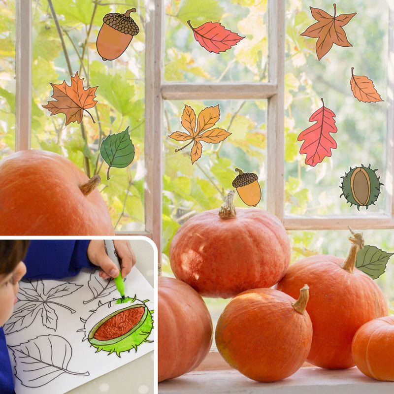 Autumn Leaves Colour-in Window Stickers | Autumn Window Stickers | Stickerscape
