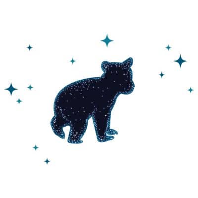 Bear constellation wall sticker | Space wall stickers | Stickerscape | UK
