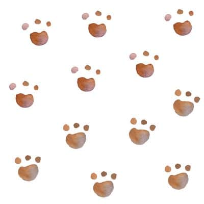 Bear paw print wall stickers on a white background
