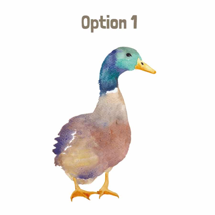 Duck window sticker (Option 1) on a white background