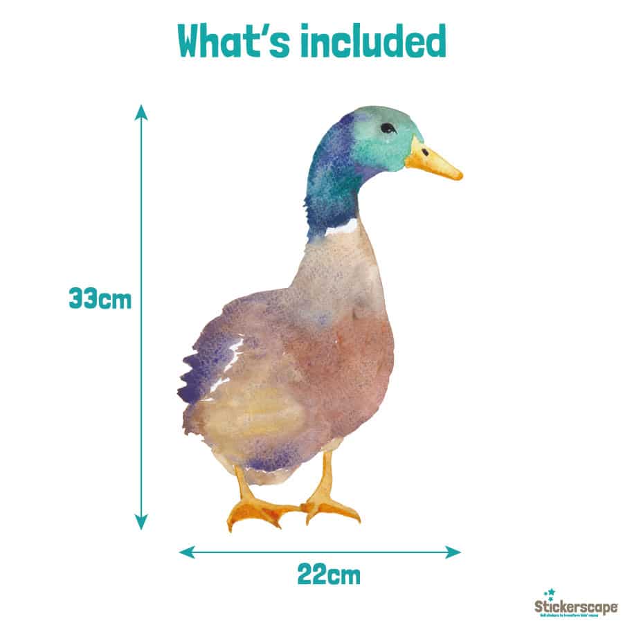 Duck window sticker (Option 1) dimensions