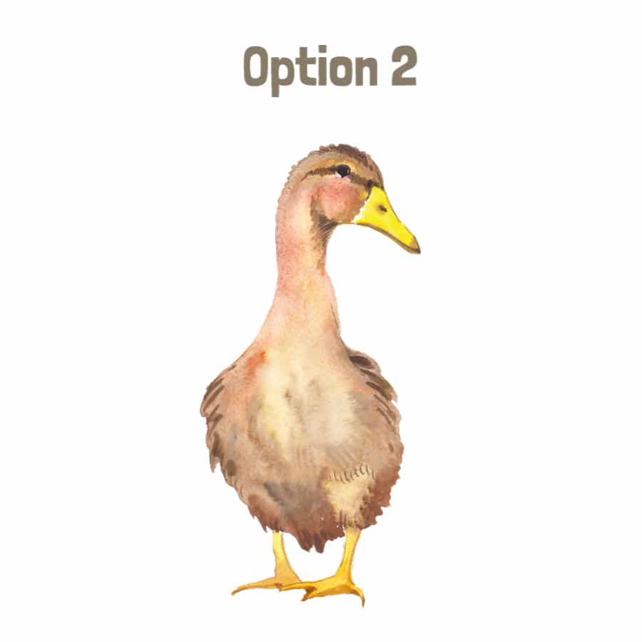 Duck window sticker (Option 2) on a white background