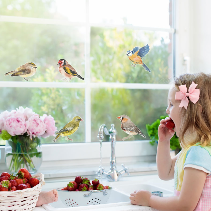 Spring bird window stickers perfect for decorating your home with during Spring time