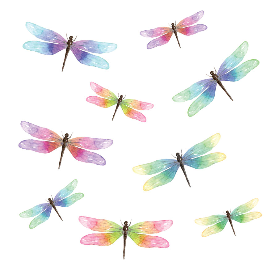 Dragonfly window stickers on a white background