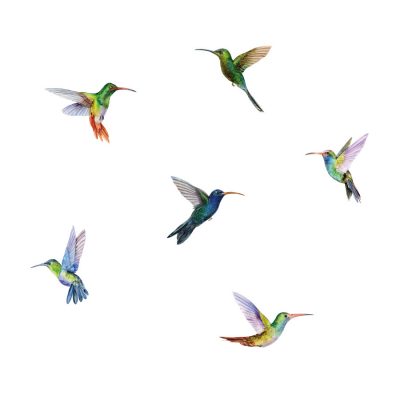 Hummingbird window stickers on a white background