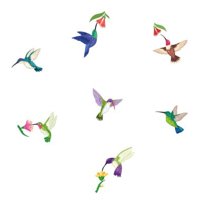 Hummingbird and flowers window stickers on a white background