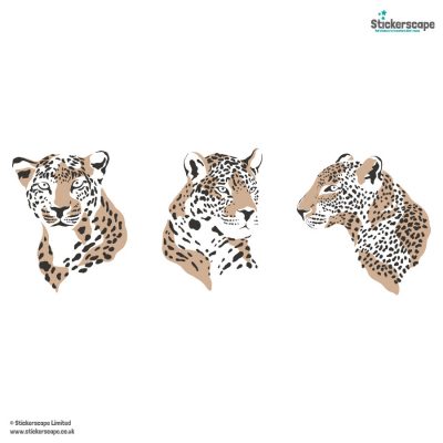 Leopard Wall Sticker Pack
