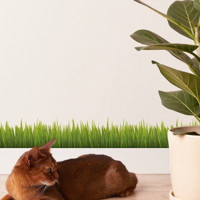 Jungle Grass Wall Sticker shown full length on a light cream wall behind a potted plant and a cat