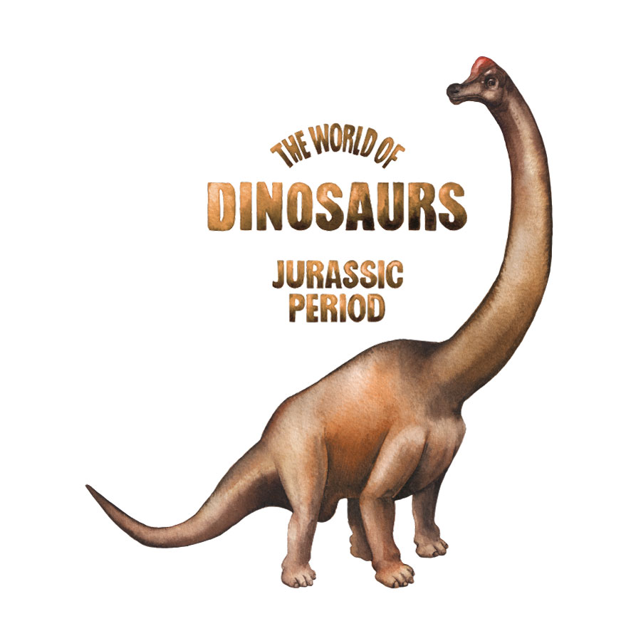 World of dinosaurs - Brontosaurus wall sticker on a white background