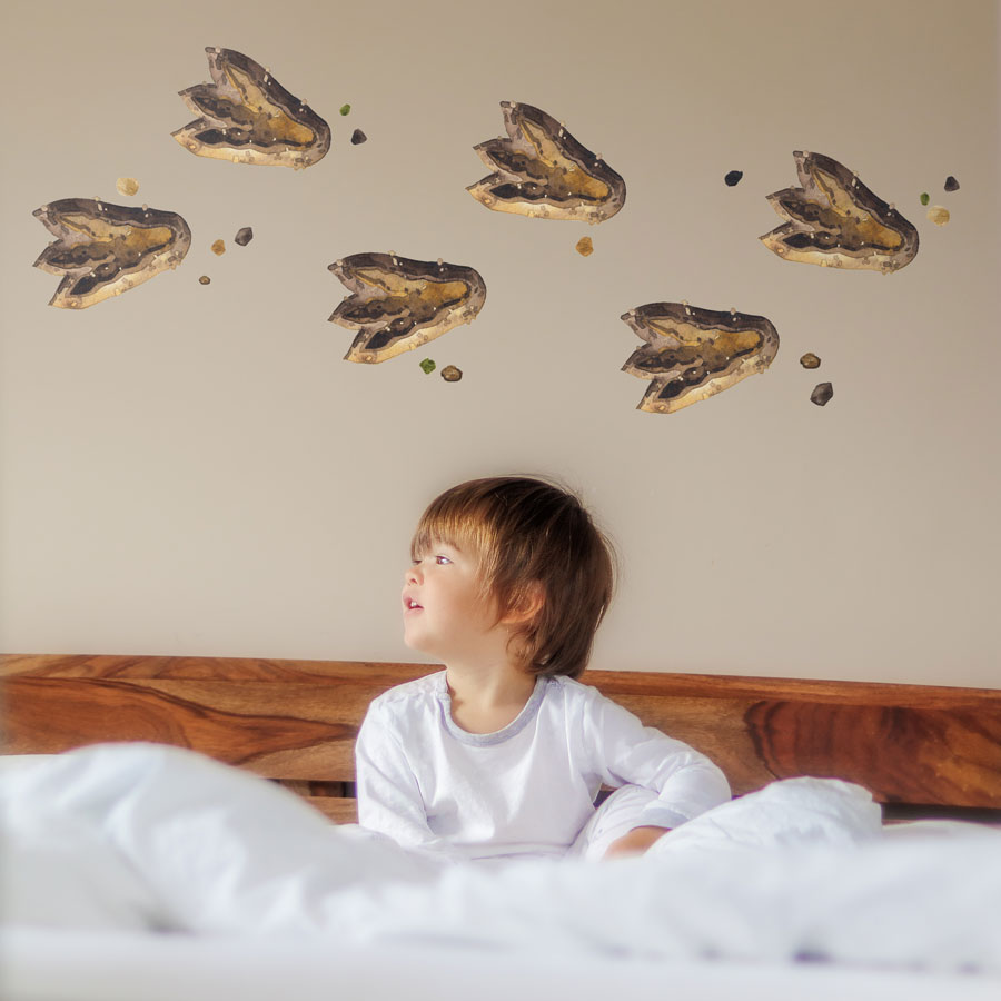 Dinosaur footprint wall stickers perfect for adding to a dinosaur themed bedroom or playroom