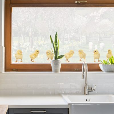 Little chick window stickers are perfect for decorating your windows this Easter and are suitable for kitchens, children's bedrooms and playrooms