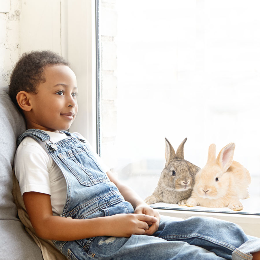 Fluffy bunnies window stickers perfect for decorating your child's windows this Easter