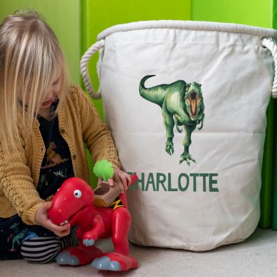 Personalised T-Rex storage trug in grey colour large size