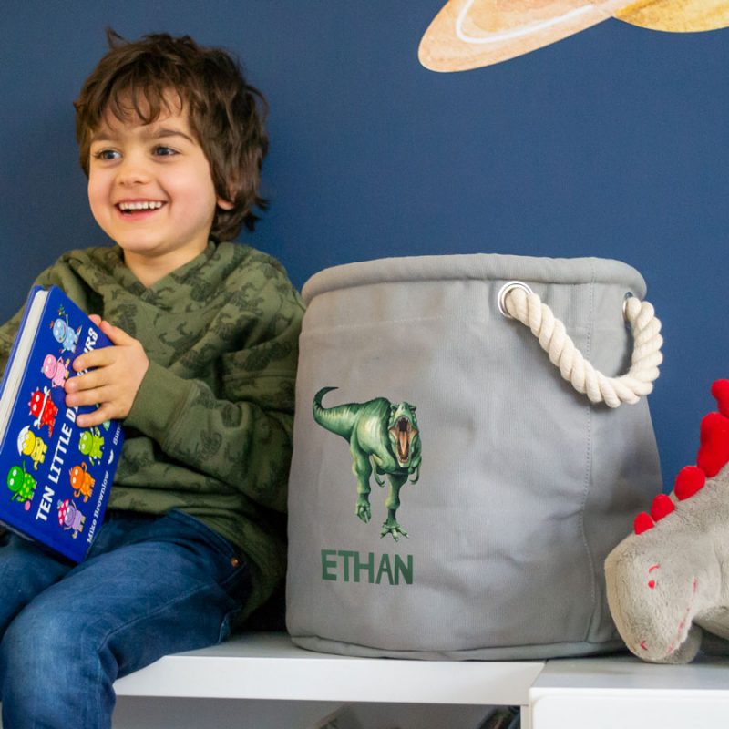 Personalised T-Rex storage trug in grey colour small size