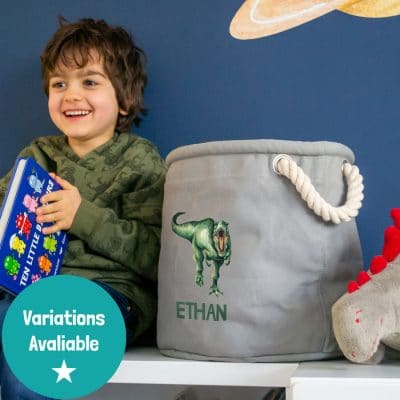 Personalised T-Rex storage trug in grey colour small size