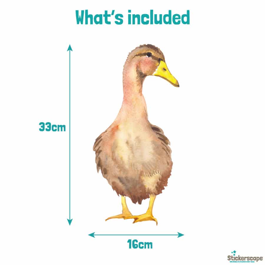 Duck window sticker (Option 2) dimensions
