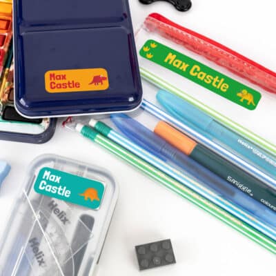 dinosaur stick on name labels on stationery
