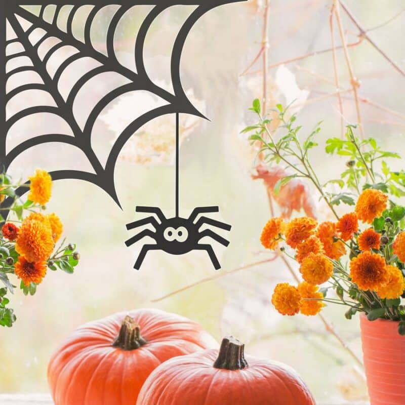 Spider and Cobweb Window Sticker on a window behind pumpkins