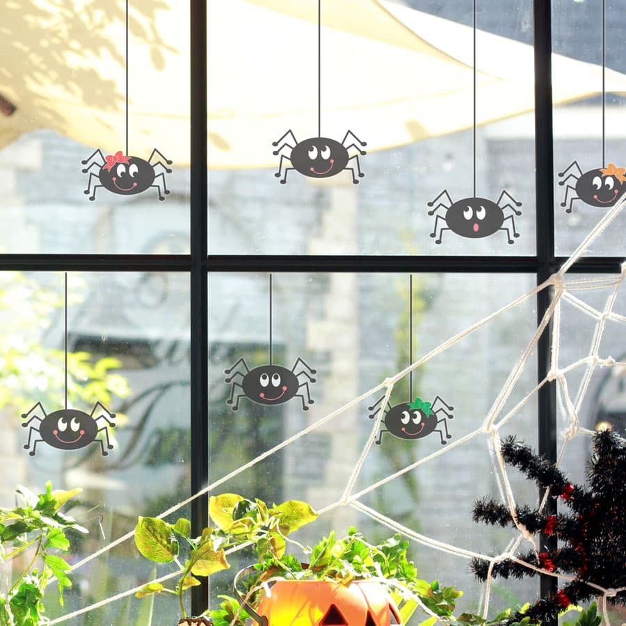 Spider Window Stickers on a window