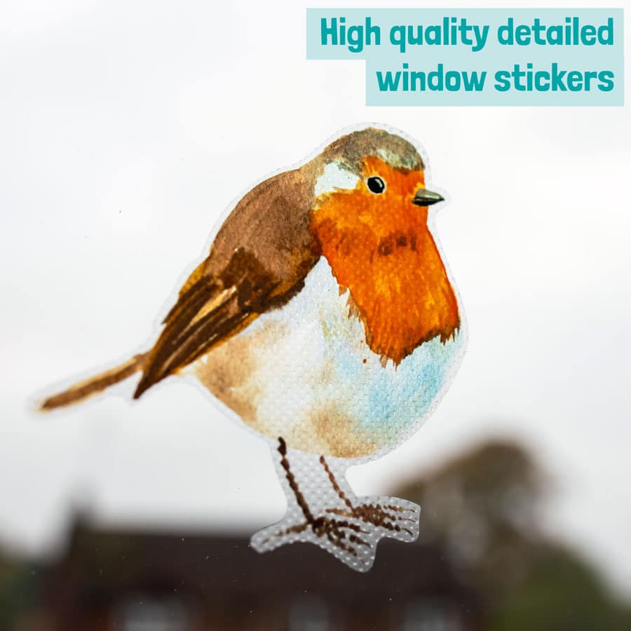 robin window sticker close-up showing high quality print detail
