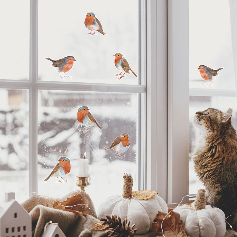 Christmas Robin Window Stickers on a window with Cat looking at them