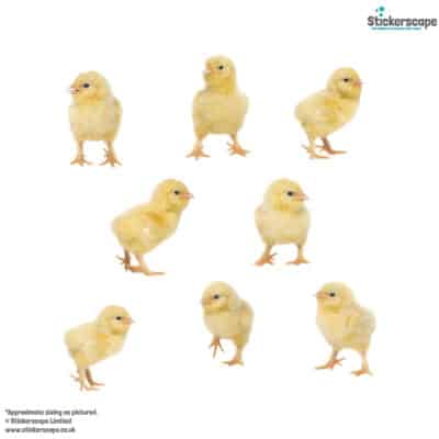 Little Chick Window Stickers on a white background