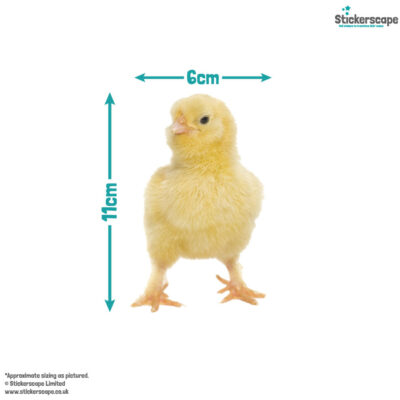 Chick window sticker with dimensions