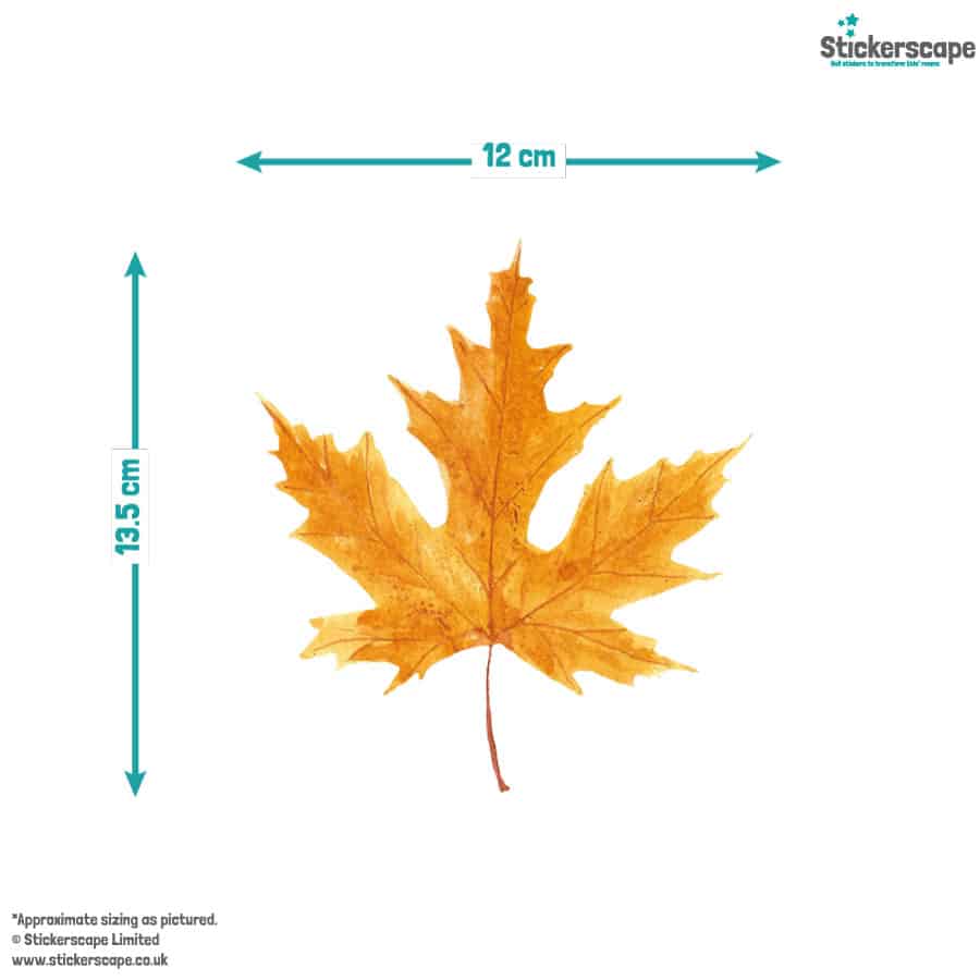Autumn Leaves Window Sticker Dimensions