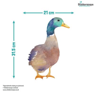 Duck Window Stickers size guide