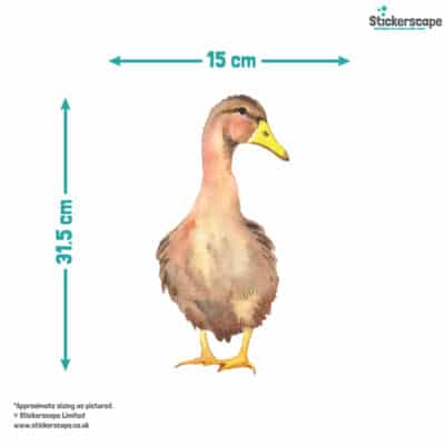 Duck Window Stickers size guide