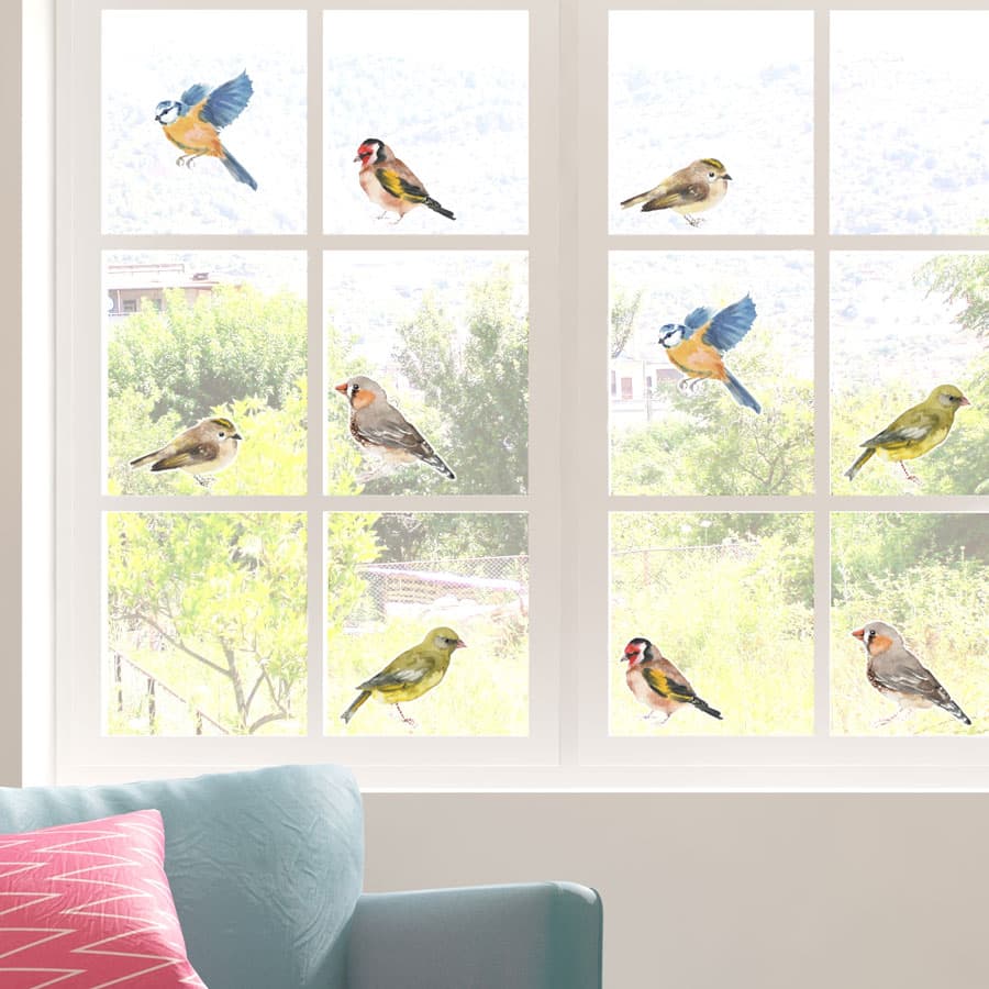 Bird Window Stickers on a window