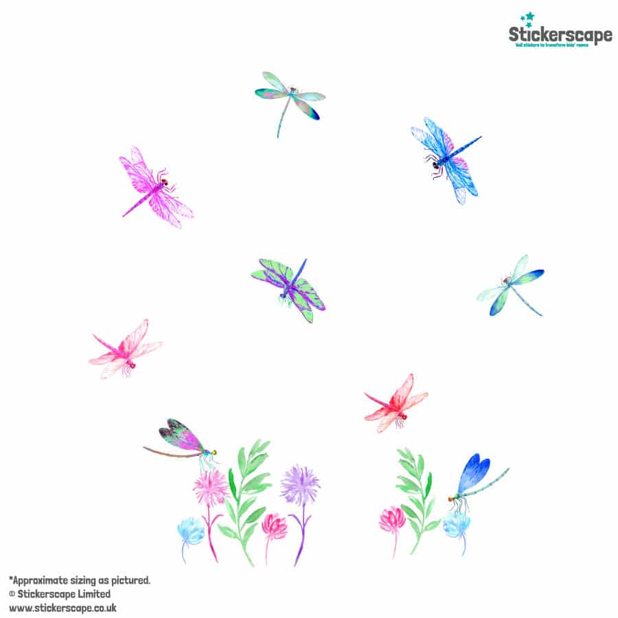 Colourful Dragonfly Window Stickers on a white background