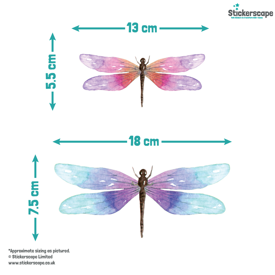 Dragonfly window sticker with dimensions