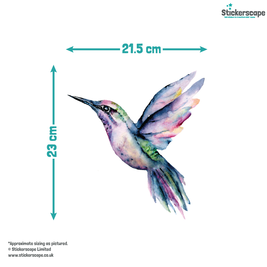 Hummingbird window sticker with dimensions