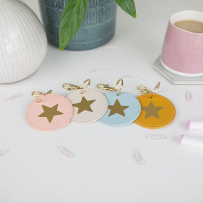 gold star keyring on oyster, pink, blue and mustard