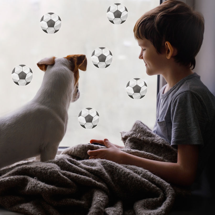 football window stickers shown on a window behind a young boy and dog