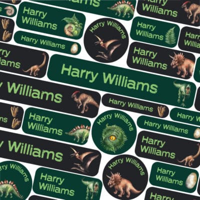 jurassic dinosaurs school name labels