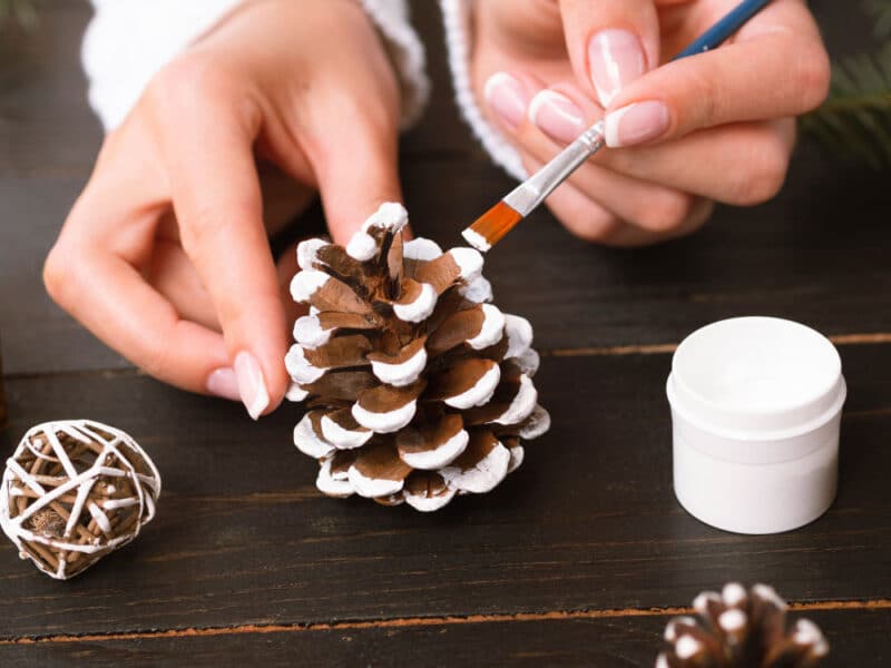 painted pine cones