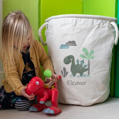 Green Dinosaur Storage Trug with child