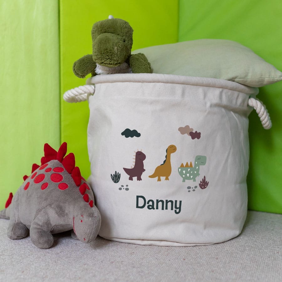 Cute Dinosaur Storage Trug with toys