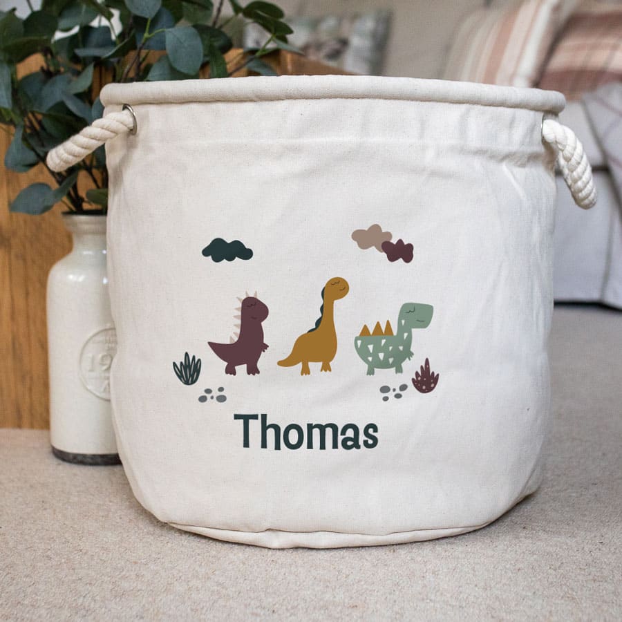 Cute Dinosaur Storage Trug with plant