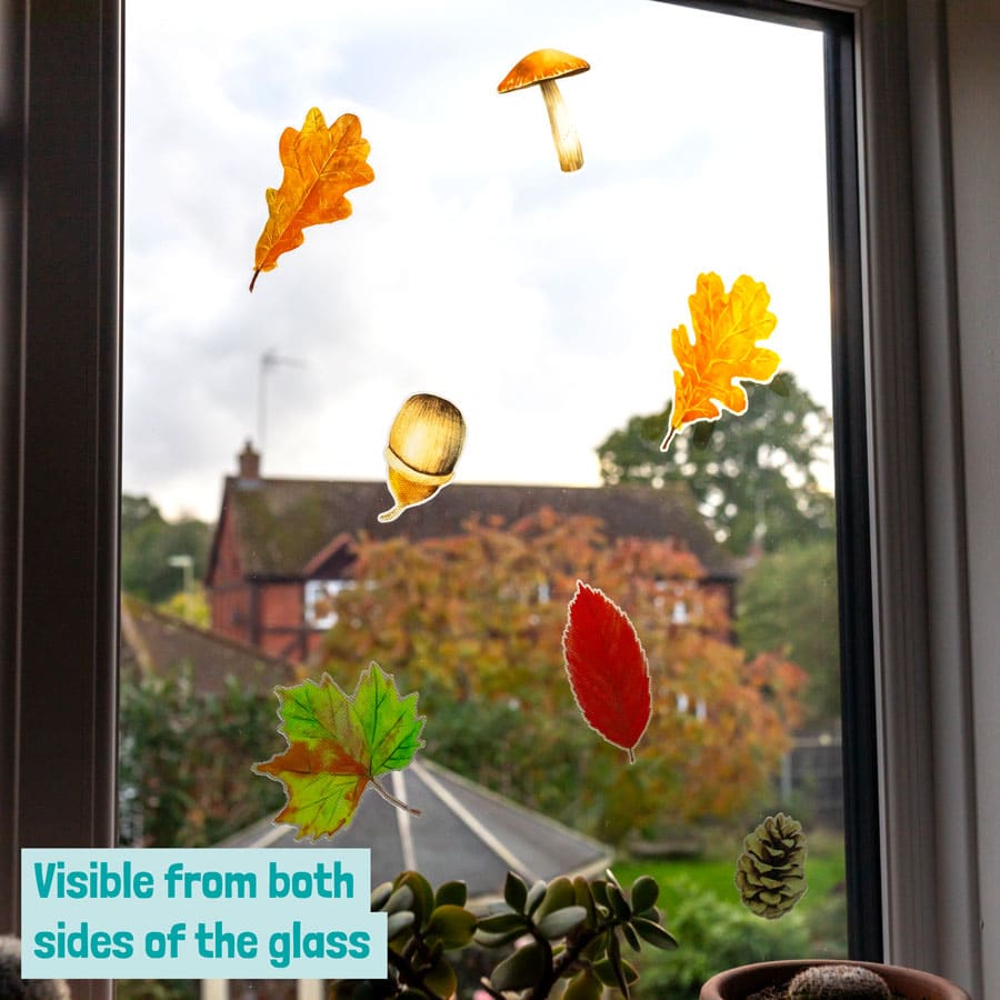 Autumnal Leaves and Mushrooms Window Sticker on a window showing see through nature