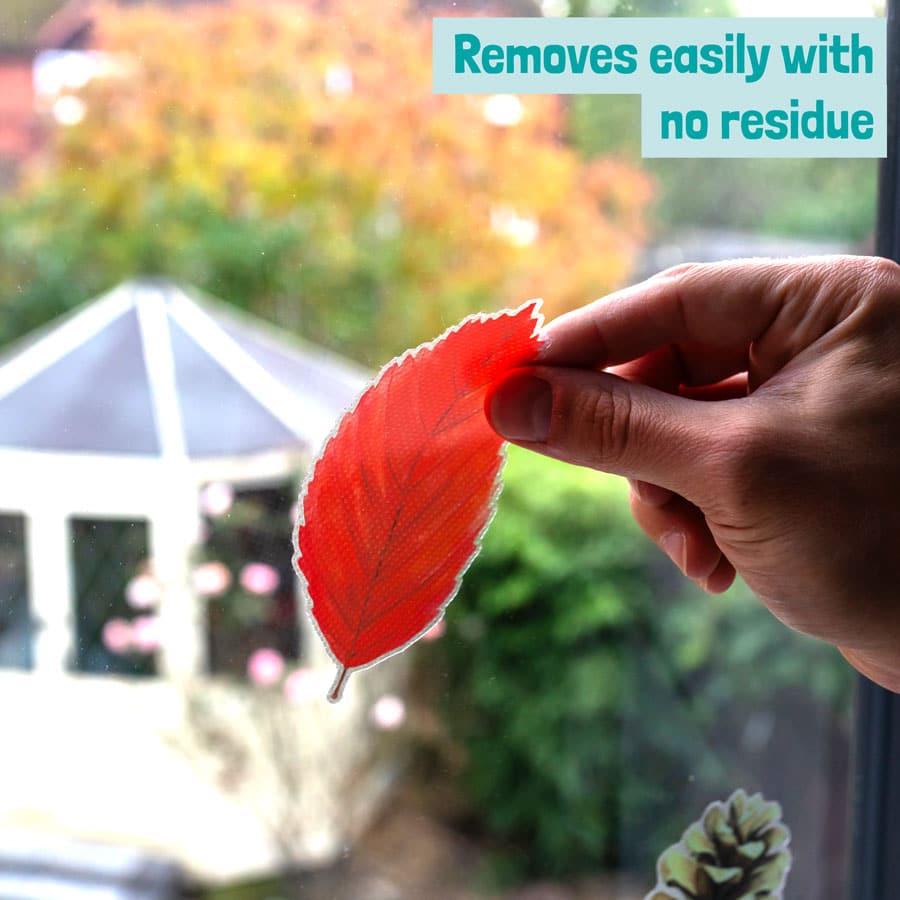 Autumnal Leaves and Mushrooms Window Sticker being cleanly removed with no residue