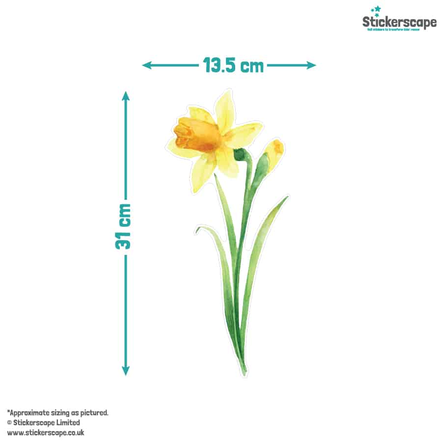 Daffodil's and Duck Window Stickers size guide