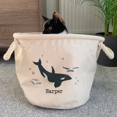 Ocean Friends Whale Storage Trug in a with cat