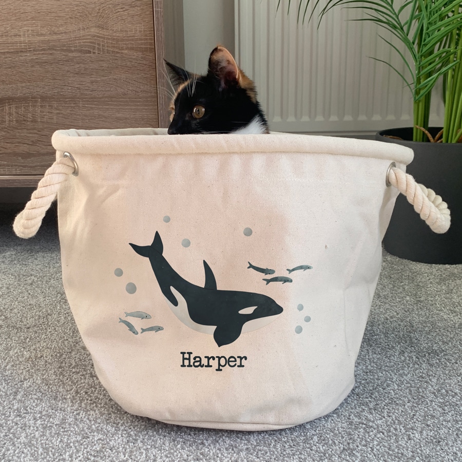 Ocean Friends Whale Storage Trug in a with cat