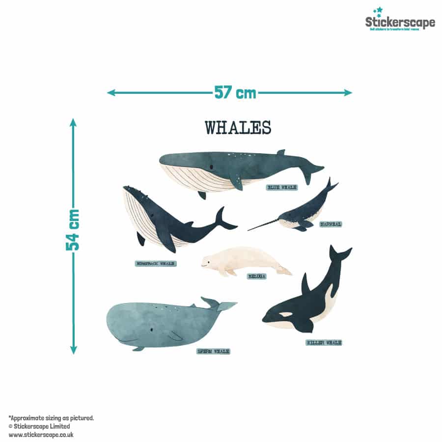 Whale Wall Stickers (Size guide)